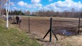 Ogrodzenie padoku, wybiegu słupki fi 5 cm EKOFORME