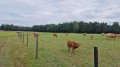 IMG-20220801-WA0003.jpg