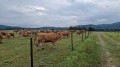 IMG-20220801-WA0004.jpg