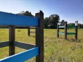 powożenie przeszkoda maratonowa EKOFORME