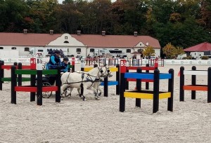 03 Przeszkody maratonowe  na zawodach w Łącku 2021