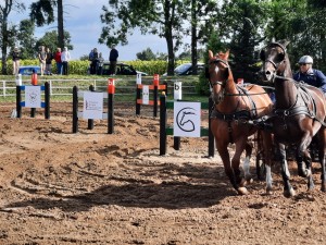 0001 Przeszkody maratonowe   Walewice 2022  (1)